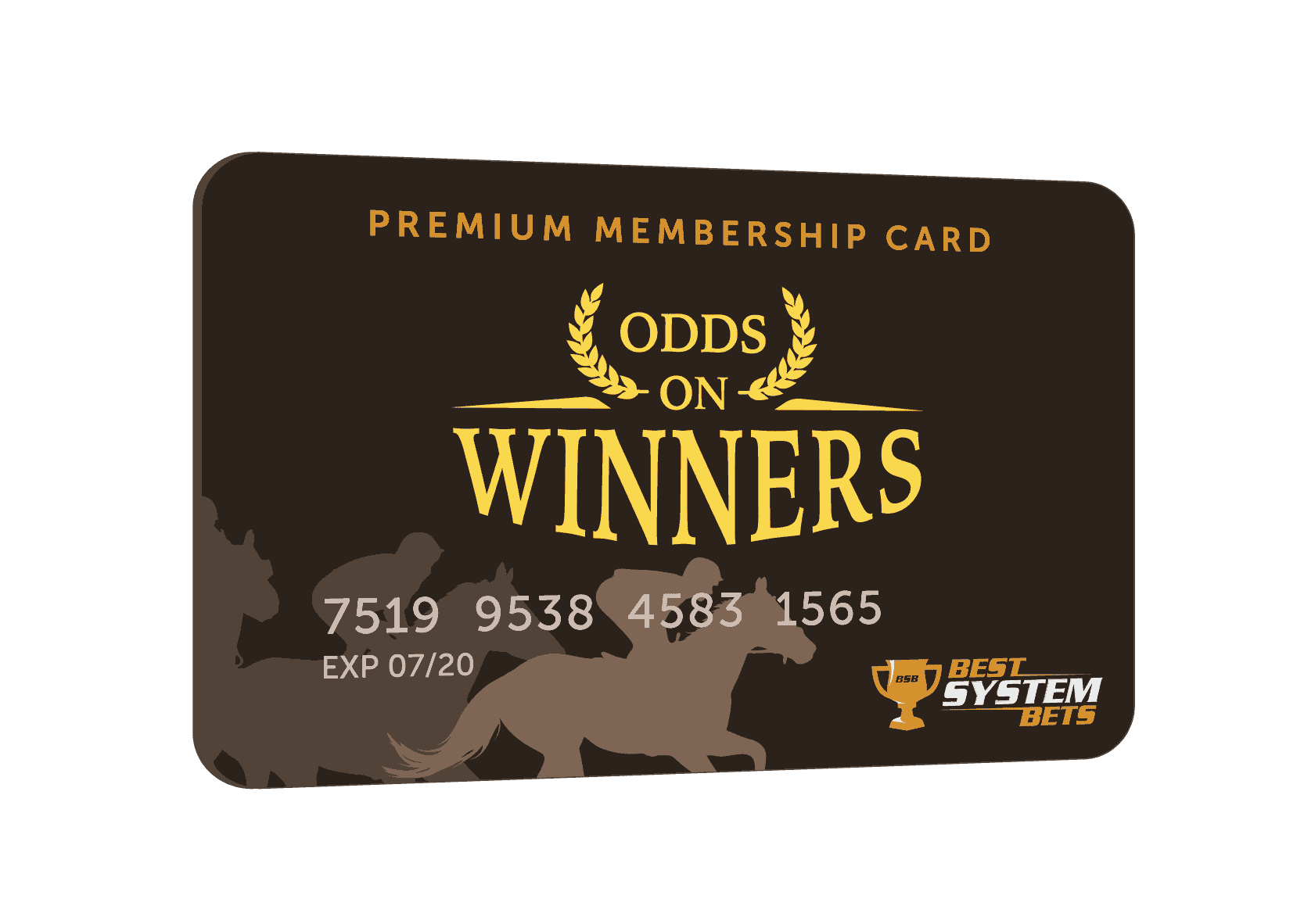 Odds On Winners membership Card