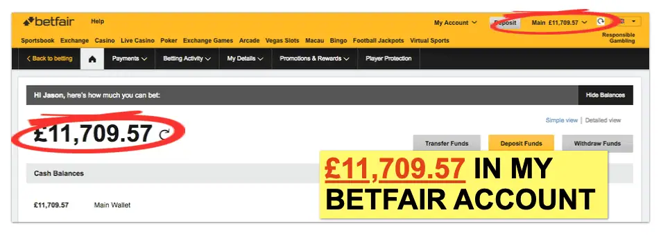 Odds On Winners statement desktop