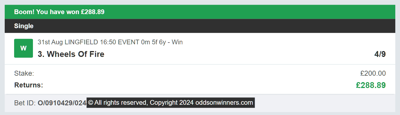 Odds On Winners - Winner - 2024-08-31