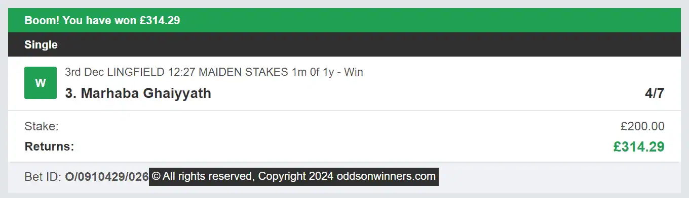 Odds On Winners - Winner - 2024-12-03