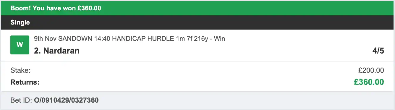 Odds On Winners - Winner - 2025-11-09